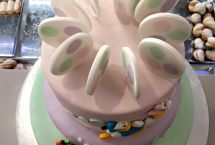 torte compleanno caffetteria vinci fasano (34)